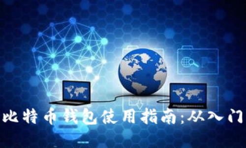 俄罗斯比特币钱包使用指南：从入门到精通