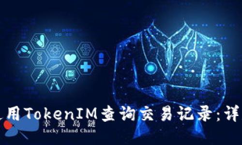 如何使用TokenIM查询交易记录：详尽指南
