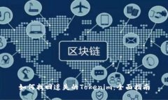 如何找回遗失的Tokenim：全面指南