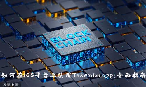 如何在iOS平台上使用Tokenimapp：全面指南
