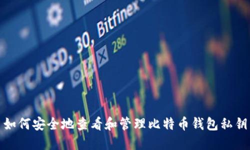 如何安全地查看和管理比特币钱包私钥