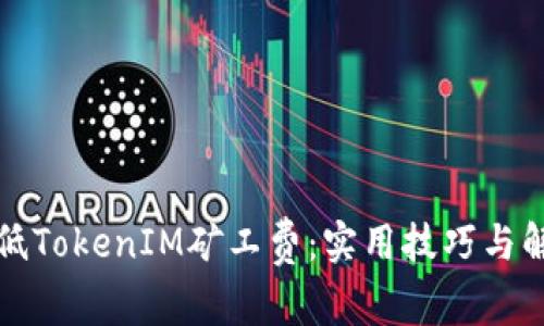 如何降低TokenIM矿工费：实用技巧与解决方案