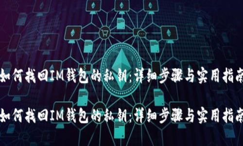 如何找回IM钱包的私钥：详细步骤与实用指南

如何找回IM钱包的私钥：详细步骤与实用指南