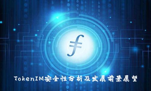 TokenIM安全性分析及发展前景展望