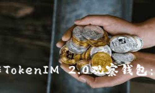 如何制作TokenIM 2.0观察钱包：全面指南