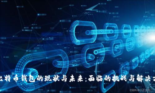 : 比特币钱包的现状与未来：面临的挑战与解决方案