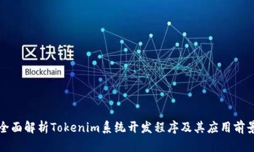 全面解析Tokenim系统开发程序及其应用前景