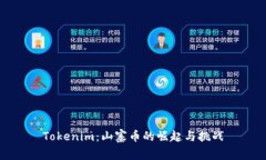 Tokenim：山寨币的崛起与挑战
