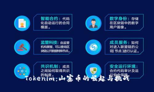 Tokenim：山寨币的崛起与挑战