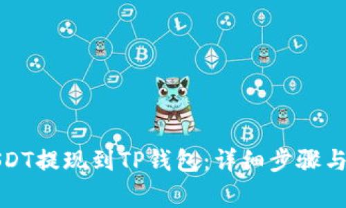如何将USDT提现到TP钱包：详细步骤与注意事项