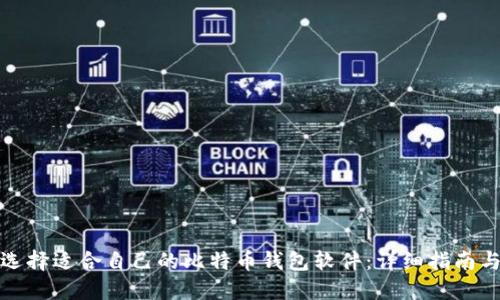 如何选择适合自己的比特币钱包软件：详细指南与建议