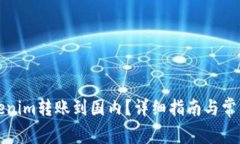 如何将Tokenim转账到国内？详细指南与常见问题解