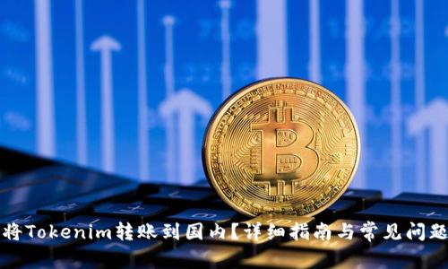如何将Tokenim转账到国内？详细指南与常见问题解答