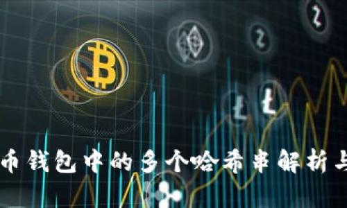 比特币钱包中的多个哈希串解析与应用