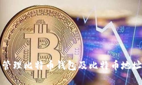 如何选择和管理比特币钱包及比特币地址的最佳实践