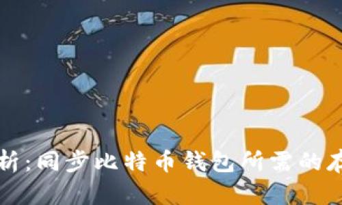 深入分析：同步比特币钱包所需的存储空间