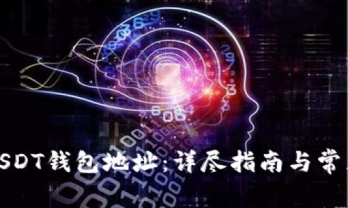 如何申请USDT钱包地址：详尽指南与常见问题解答