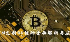 TokenIM支持OK链的全面解析与应用指南