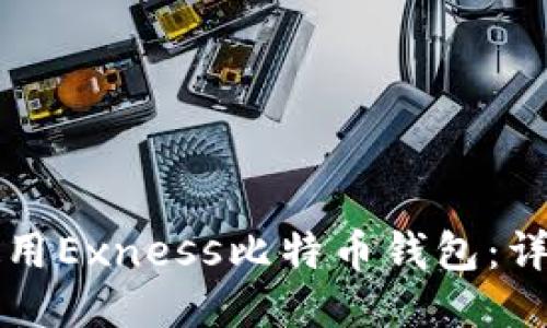 如何使用Exness比特币钱包：详细指南