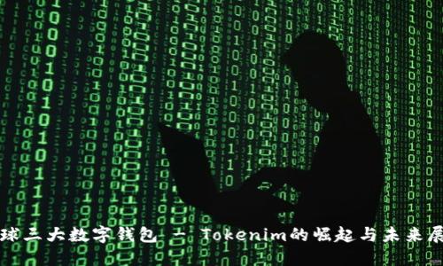 全球三大数字钱包 - Tokenim的崛起与未来展望