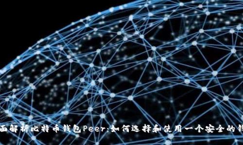全面解析比特币钱包Peer：如何选择和使用一个安全的钱包