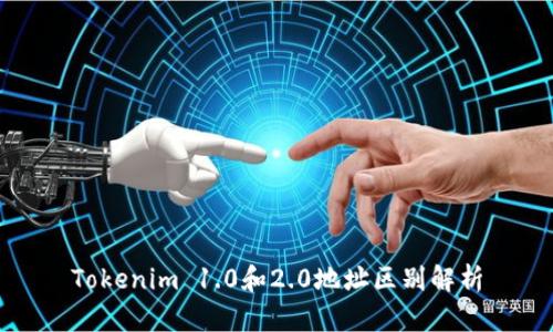 Tokenim 1.0和2.0地址区别解析