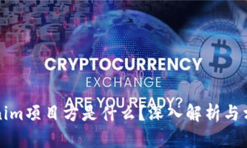 ### Tokenim项目方是什么?深入解析与相关问题探讨