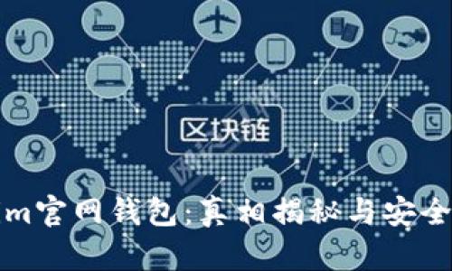 Tokenim官网钱包：真相揭秘与安全性分析