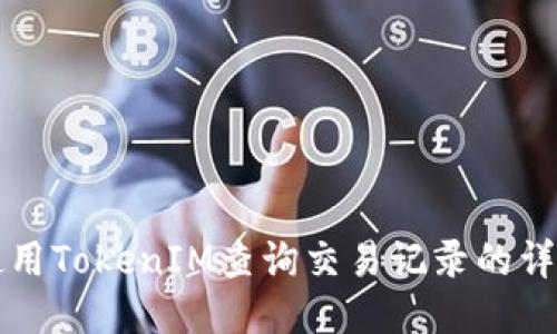 如何使用TokenIM查询交易记录的详细指南