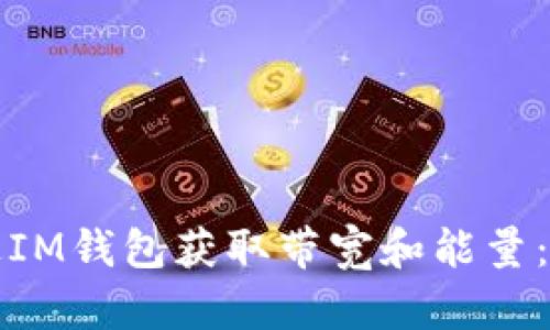 如何通过IM钱包获取带宽和能量：详细指南