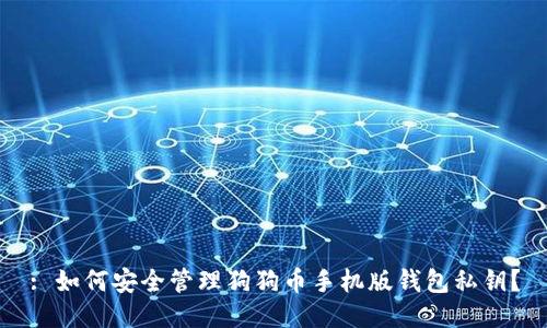 : 如何安全管理狗狗币手机版钱包私钥？