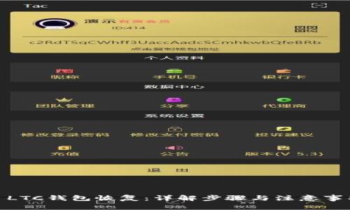: LTC钱包恢复：详解步骤与注意事项