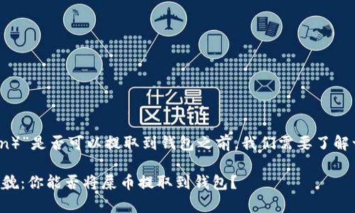 在讨论“屎币（Shitcoin）”是否可以提取到钱包之前，我们需要了解一些基本概念和背景。

### 屎币的真实面貌：你能否将屎币提取到钱包？