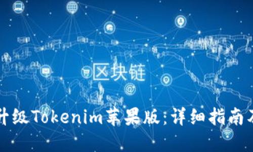 如何顺利升级Tokenim苹果版：详细指南及最佳实践