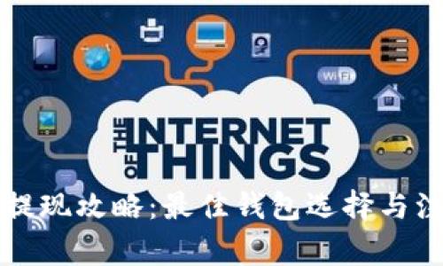 狗狗币提现攻略：最佳钱包选择与注意事项