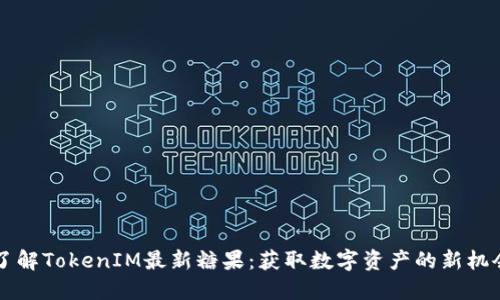 了解TokenIM最新糖果：获取数字资产的新机会