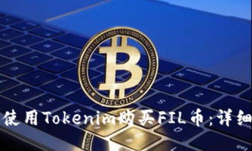 如何使用Tokenim购买FIL币：详细指南