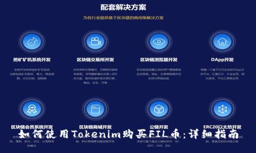 如何使用Tokenim购买FIL币：详细指南