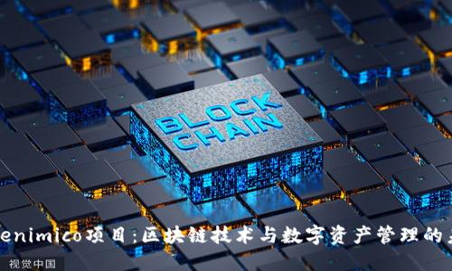 Tokenimico项目：区块链技术与数字资产管理的未来
