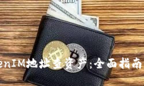如何用TokenIM地址查资产：全面指南与实用技巧