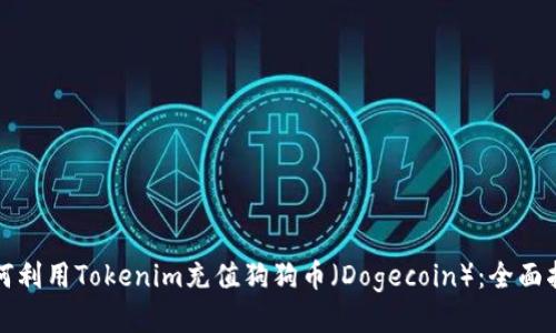 如何利用Tokenim充值狗狗币（Dogecoin）：全面指南