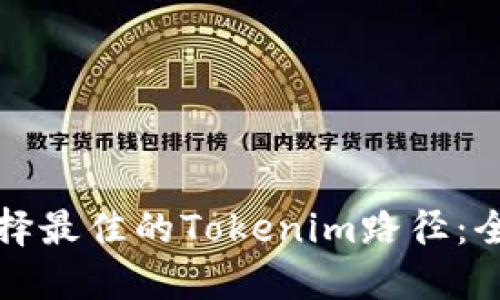 如何选择最佳的Tokenim路径：全面指南