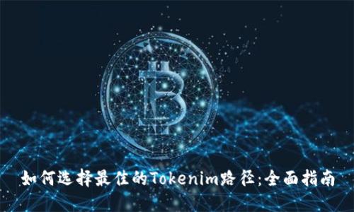 如何选择最佳的Tokenim路径：全面指南