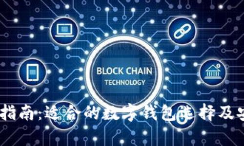 USDT存储指南：适合的数字钱包选择及安全性分析