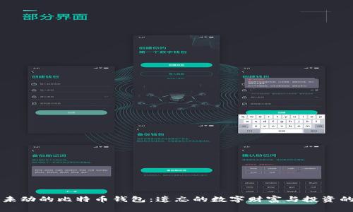 十年未动的比特币钱包：遗忘的数字财富与投资的启示