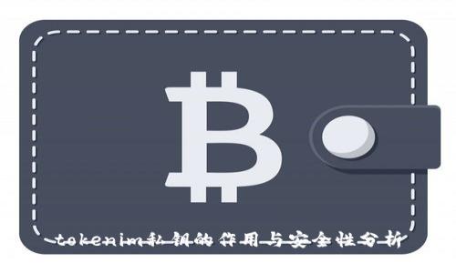 tokenim私钥的作用与安全性分析