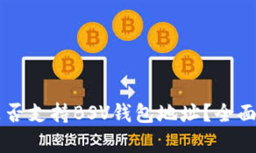 : IM钱包是否支持BSV钱包地址？全面解析与指南