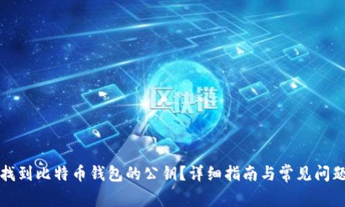 如何找到比特币钱包的公钥？详细指南与常见问题解答