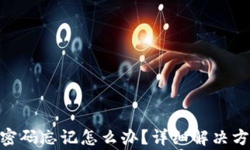 
TokenIM交易密码忘记怎么办？详细解决方案与注意事项