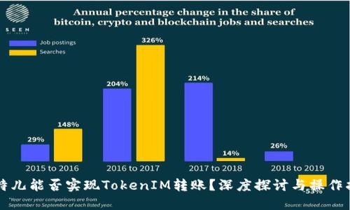 比特儿能否实现TokenIM转账？深度探讨与操作指南